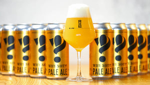 Alternate Ending Beer Co. Flagship Pale Ale 5% Why Not?!