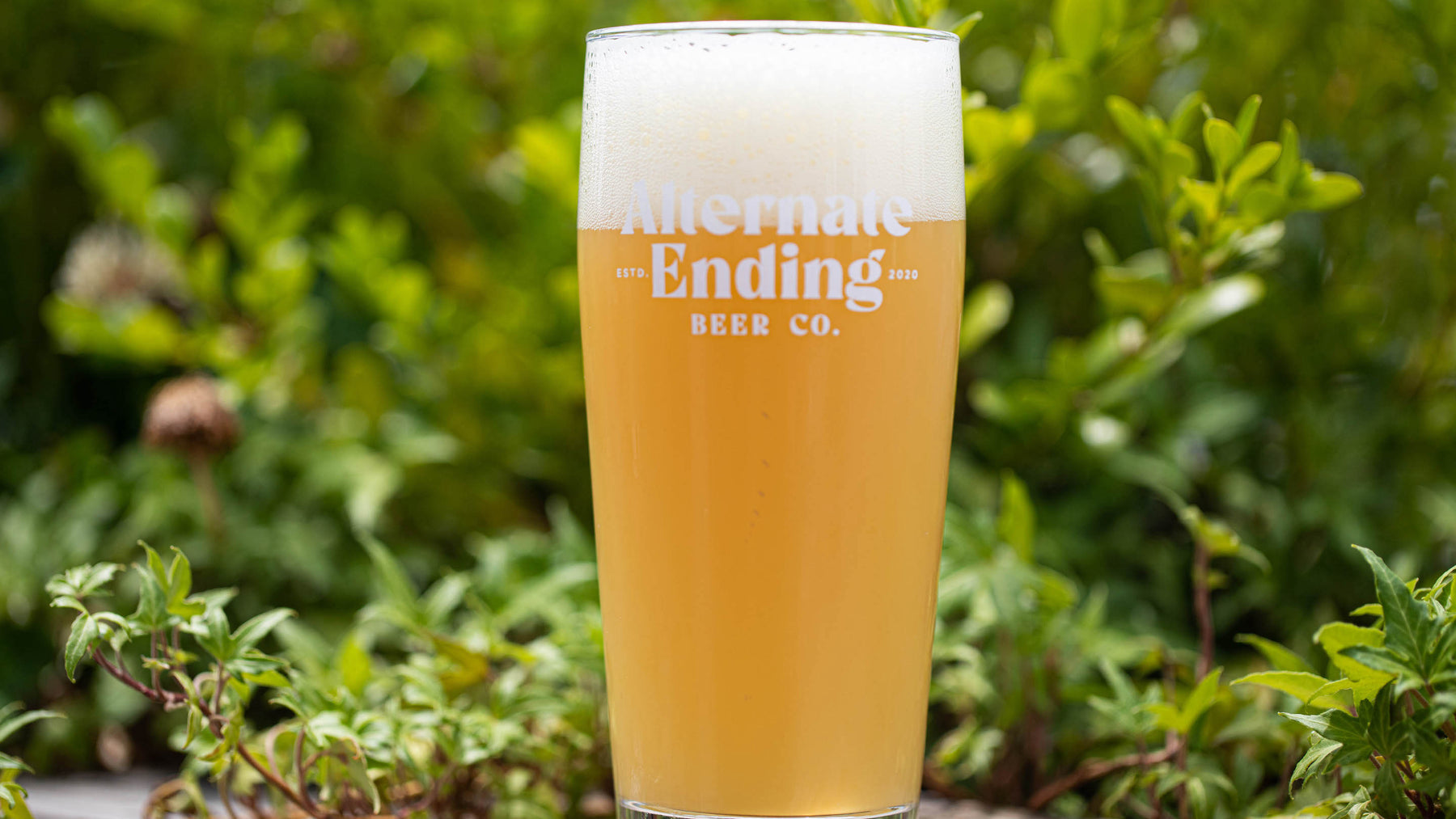 Alternate Ending Beer Co. Choose Wisely Triple IPA 10%